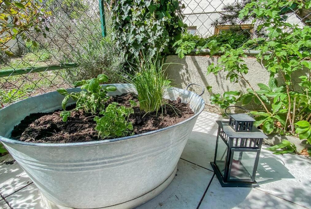 Apartment Stylisches Mit Terrasse In Der Altstadt Von *